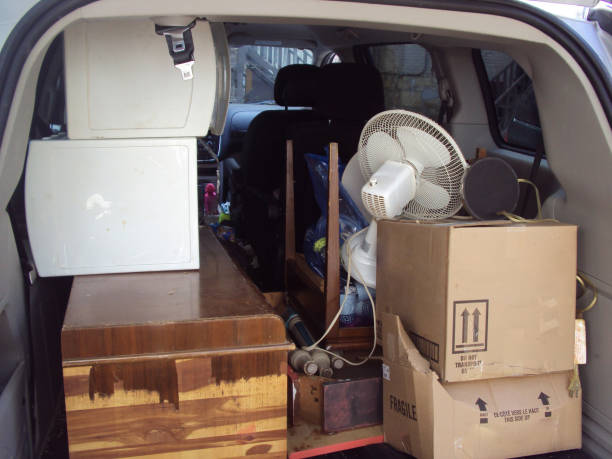 Best Construction Debris Removal  in Newport, NC